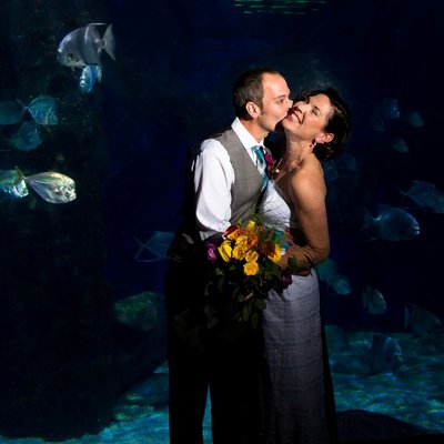 First look at the Virginia Aquarium Wedding