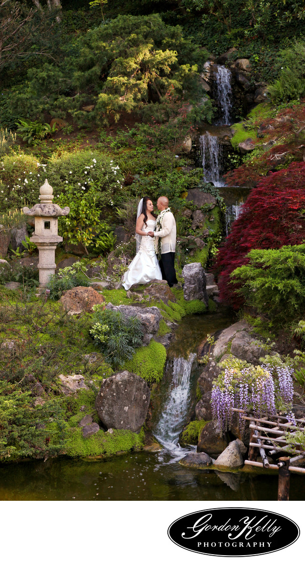 Hakone Gardens Wedding Photographer