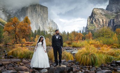 Yosemite wedding
