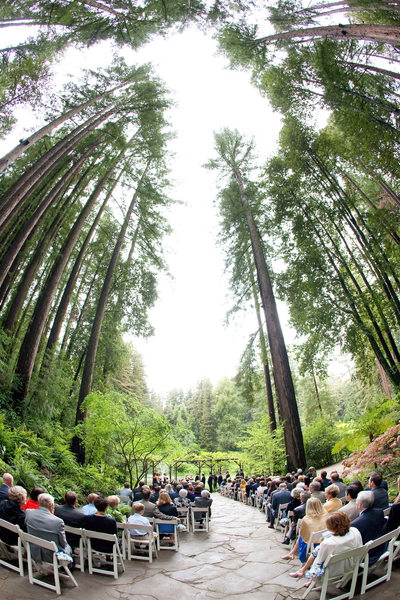 Nestldown Wedding Photography, Redwood Trees