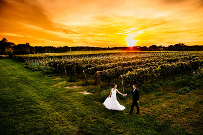 Bedell Cellars Wedding at Cutchogue, NY 