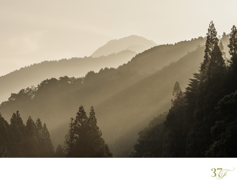 Sunbeams and Mist at Sunrise | Kiso Valley