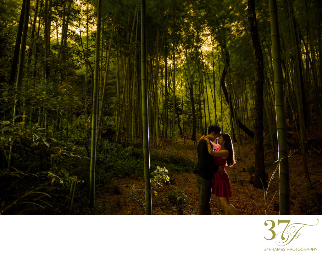 Bamboo Forest Engagement Photos 