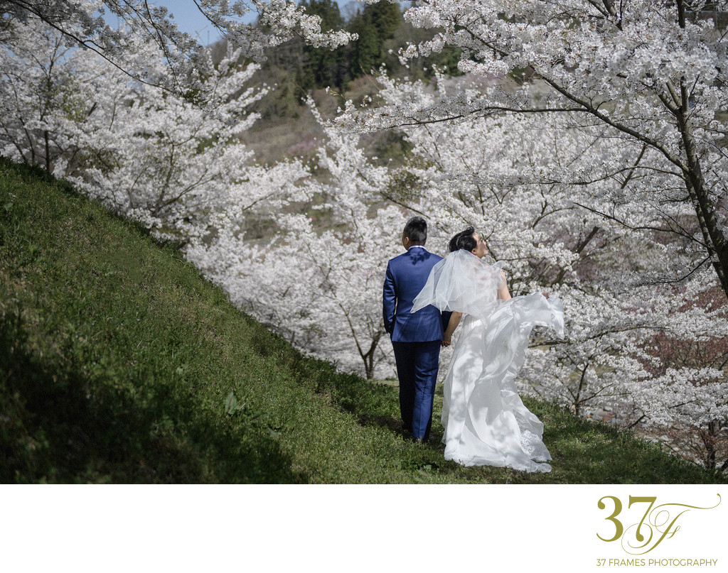 Elope Under the Cherry Blossoms