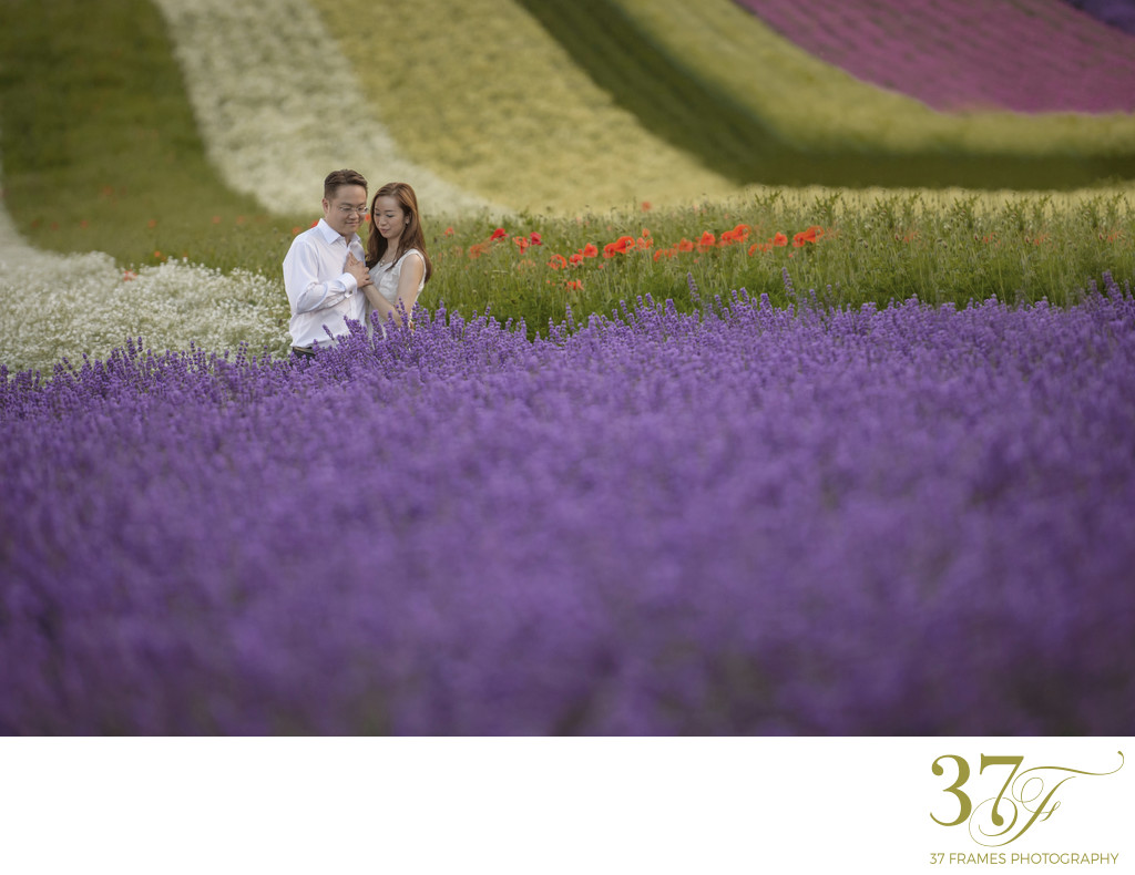 Wedding photos in the Lavender of Hokkaido