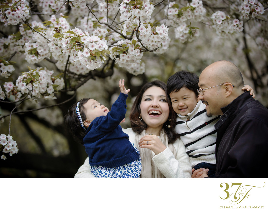 Tokyo Family Photographer : Spring everywhere