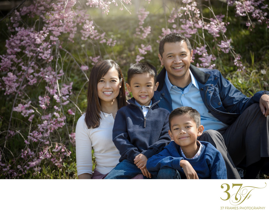 Spring Family Vacation Photography in Kyoto