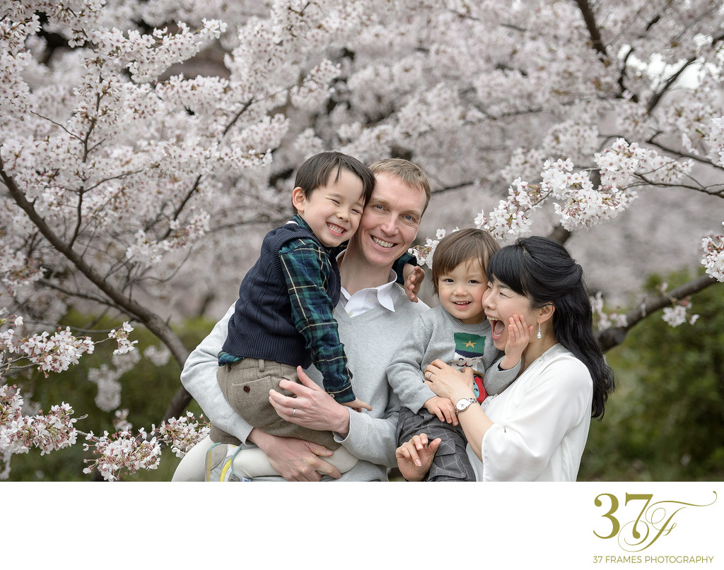 Cherry Blossom Family Photo Packages