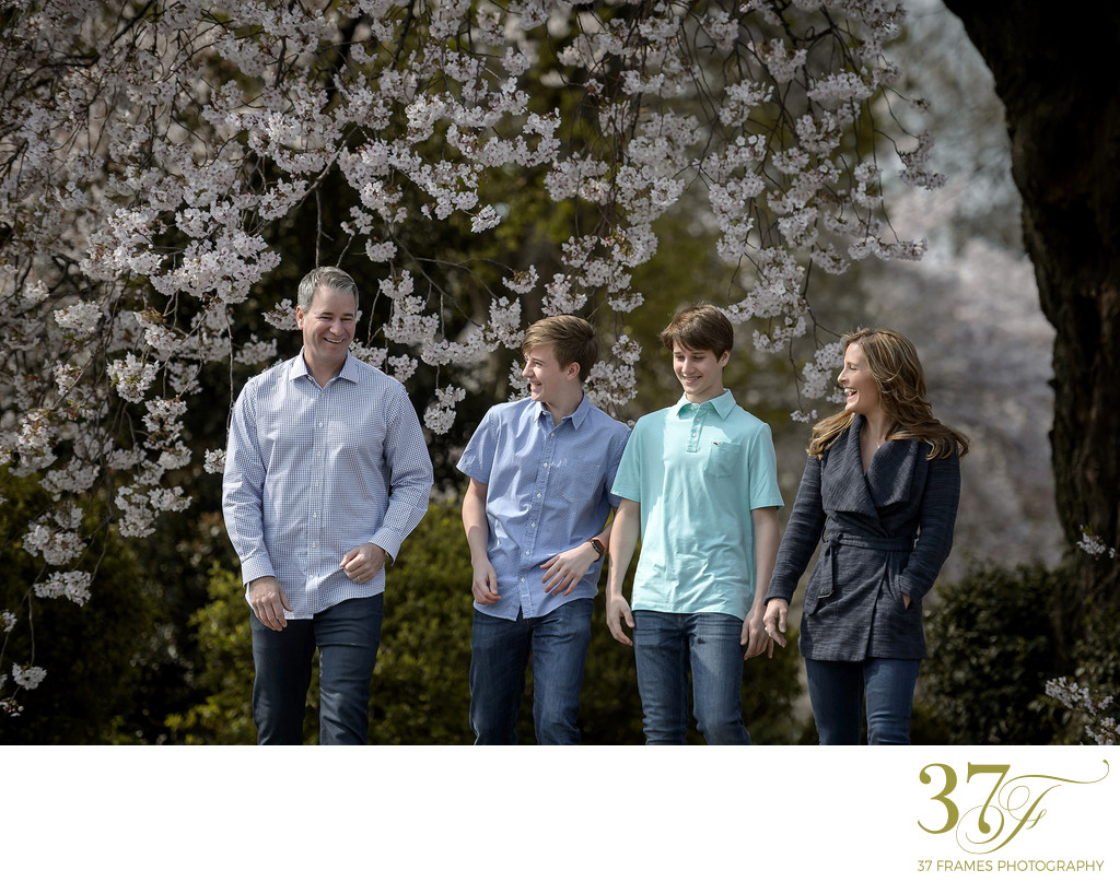 Spring is the best Season for Family Portraits in Tokyo