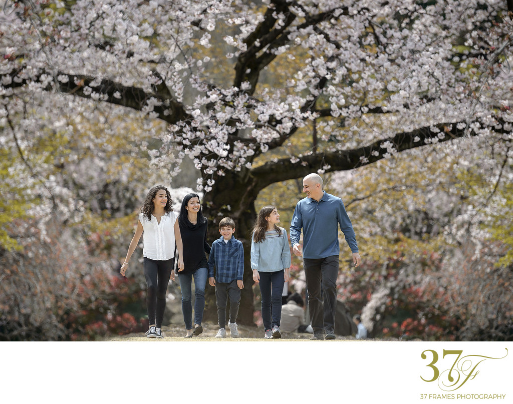Tokyo Family Photography in Spring