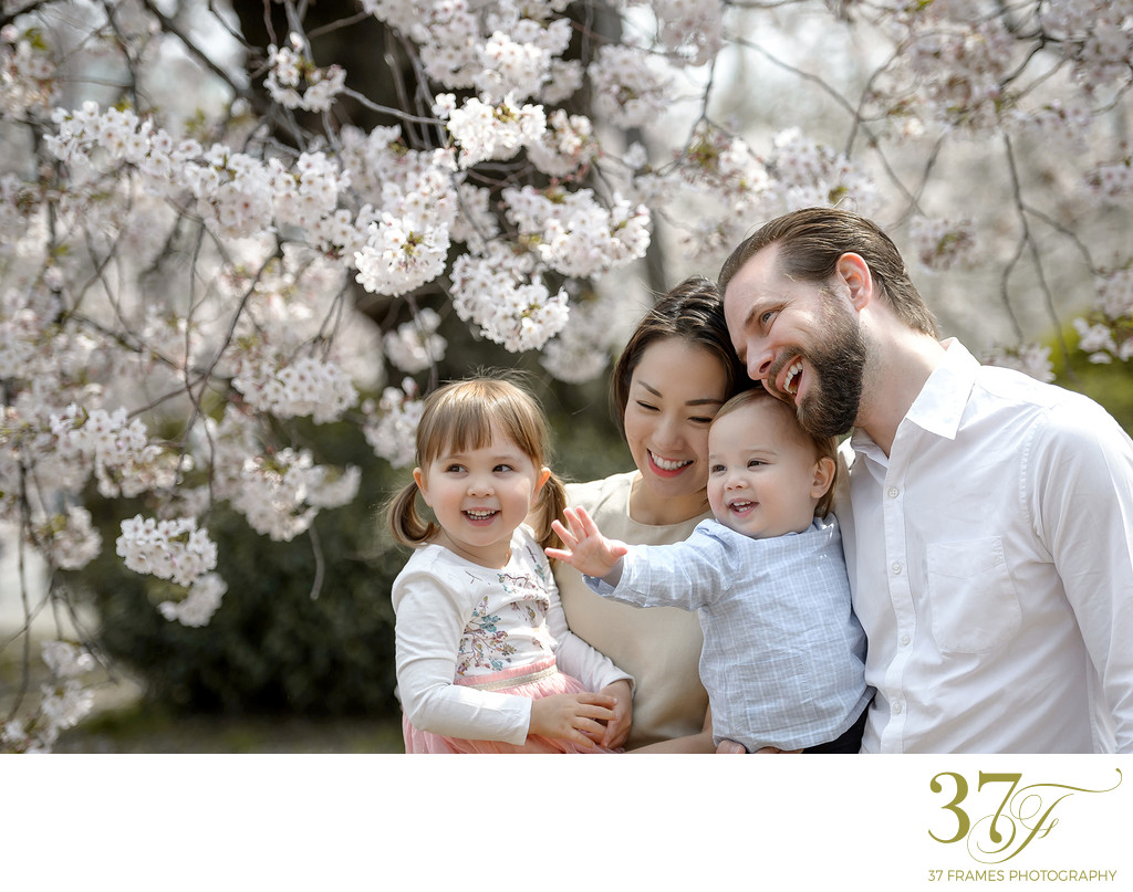 Family Portraits in Cherry Blossoms | Shinjuku-gyoen
