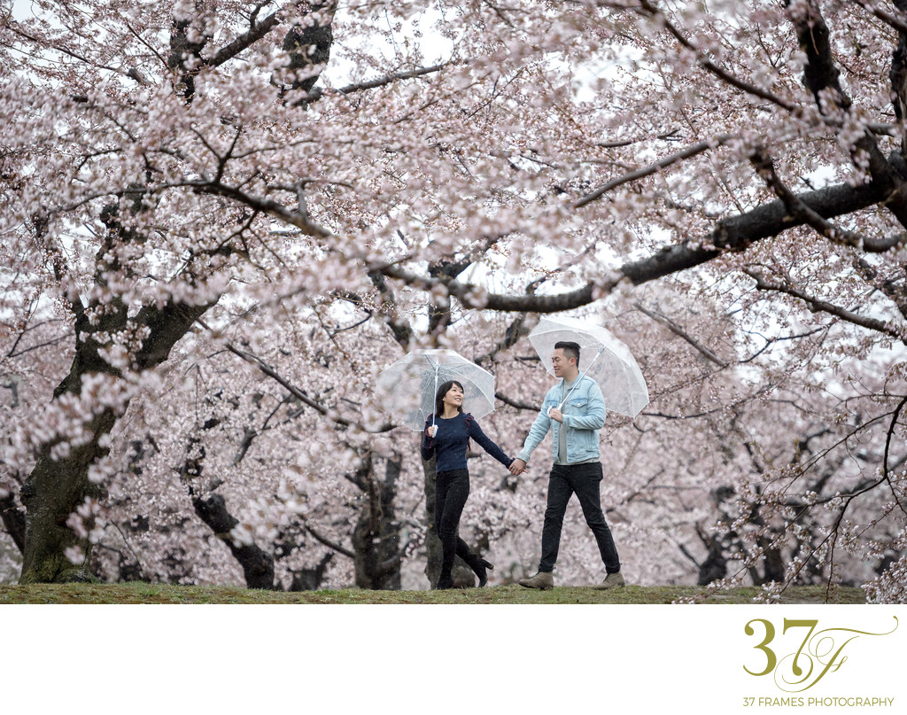 Cherry Blossoms in the Rain | Japan Engagement Photos