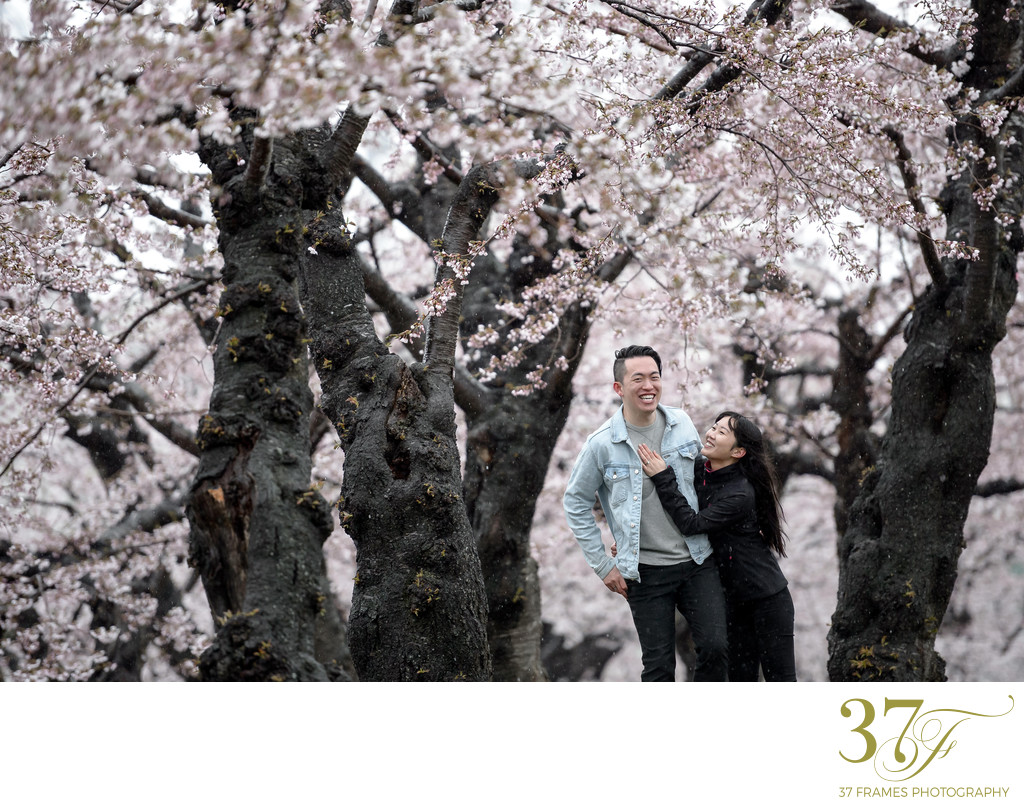 Hakodate Engagement Photographer | Cherry Blossoms
