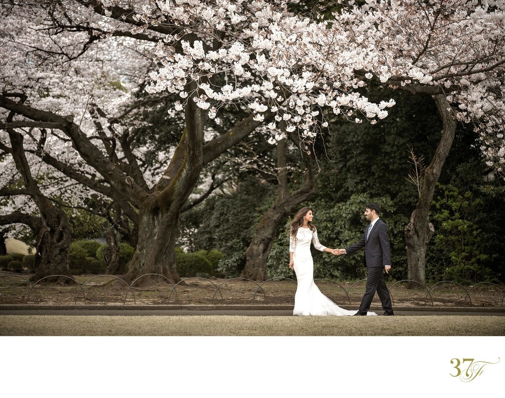 Cherry Blossom Wedding Photos in Tokyo