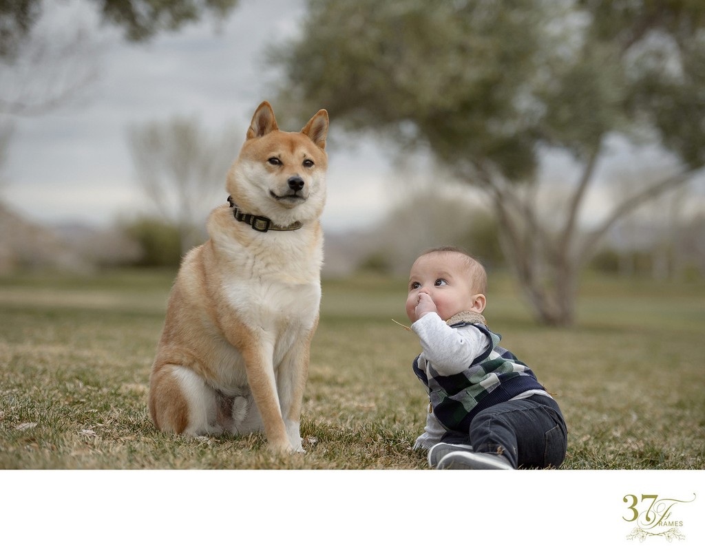 Family Photography with Pets