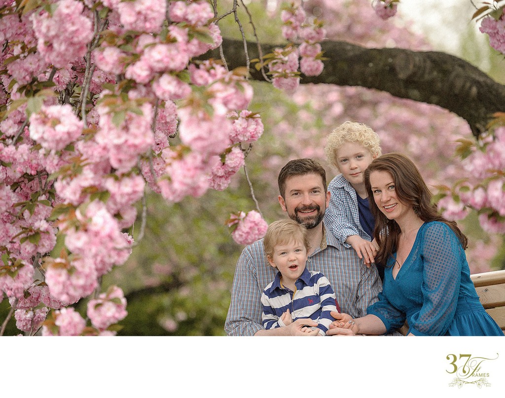 Family Photographer in Tokyo | Spring Portraits