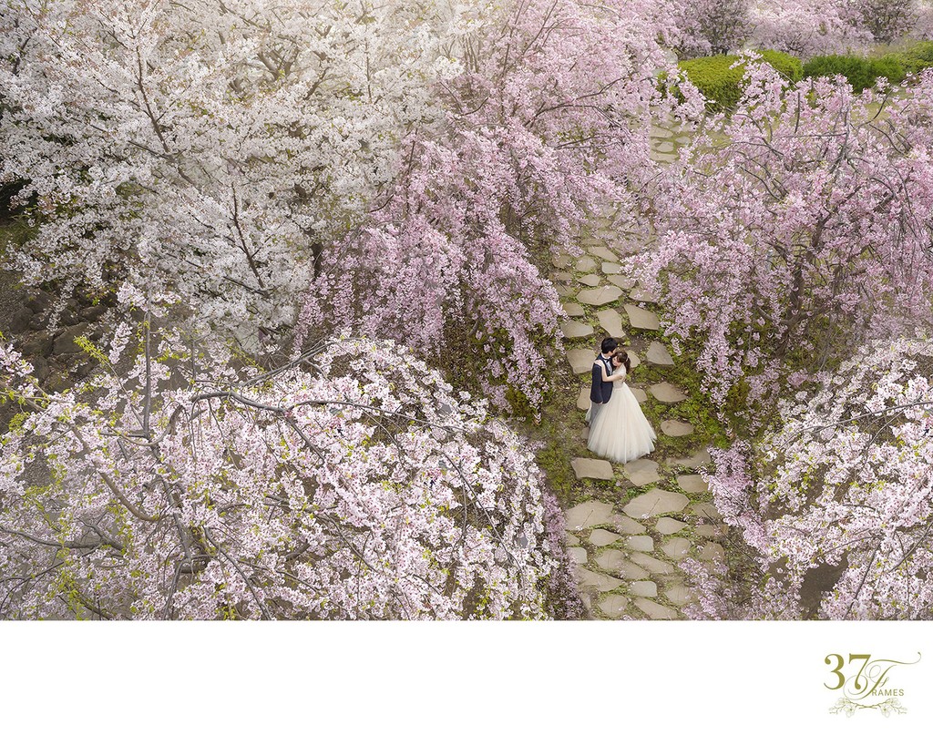 Cherry Blossom Wedding Planning in Tokyo