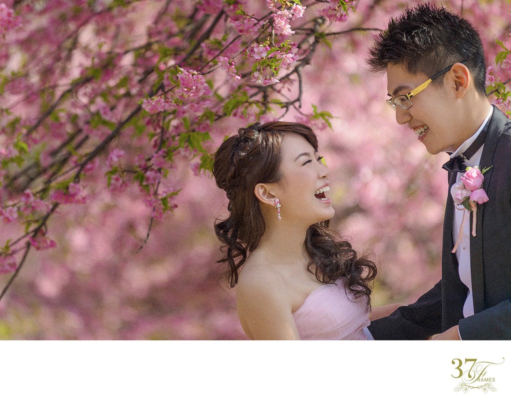Elope in Japan | The Plum Blossoms