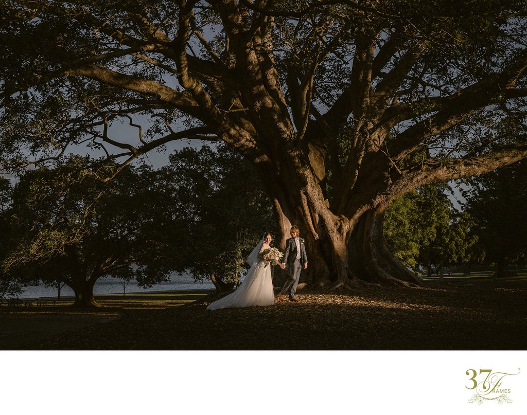 Brisbane Wedding Photographer | Late Afternoon Light