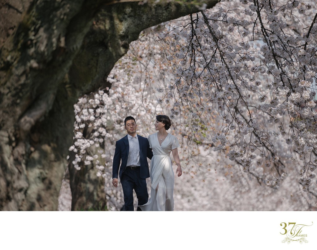 Elope in Japan | Incredible Cherry Blossoms