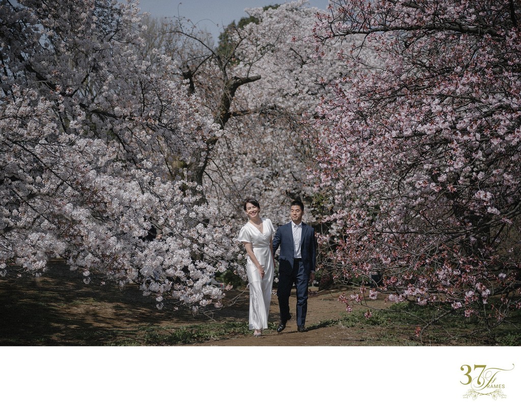 Cherry Blossom Elopements in Japan