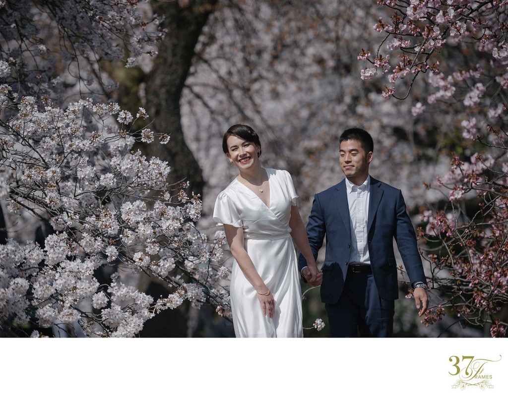 Eloping in the Japanese Cherry Blossoms