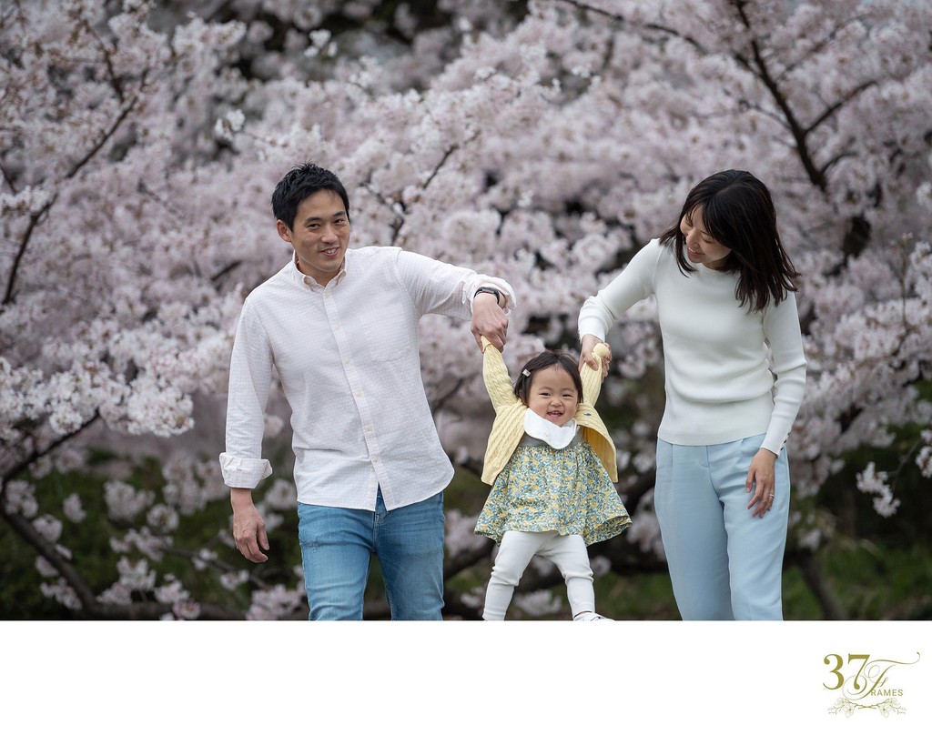 Spring's Blossom Haven: Top Family Portrait Spots