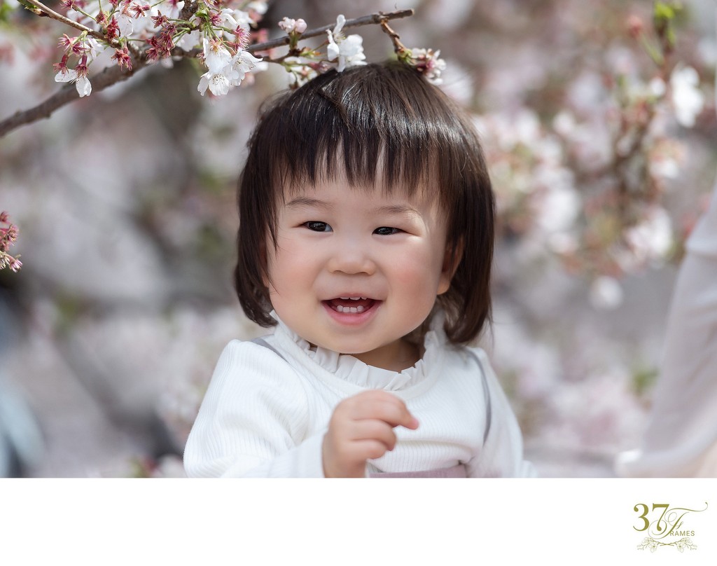 Shinjuku's Cherry Blossoms: Family Portraits in Bloom