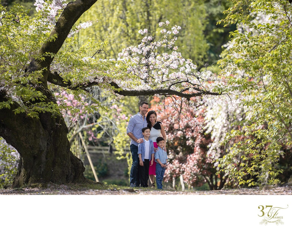 Sakura Symphony: Family Portraits in Tokyo's Blossoms