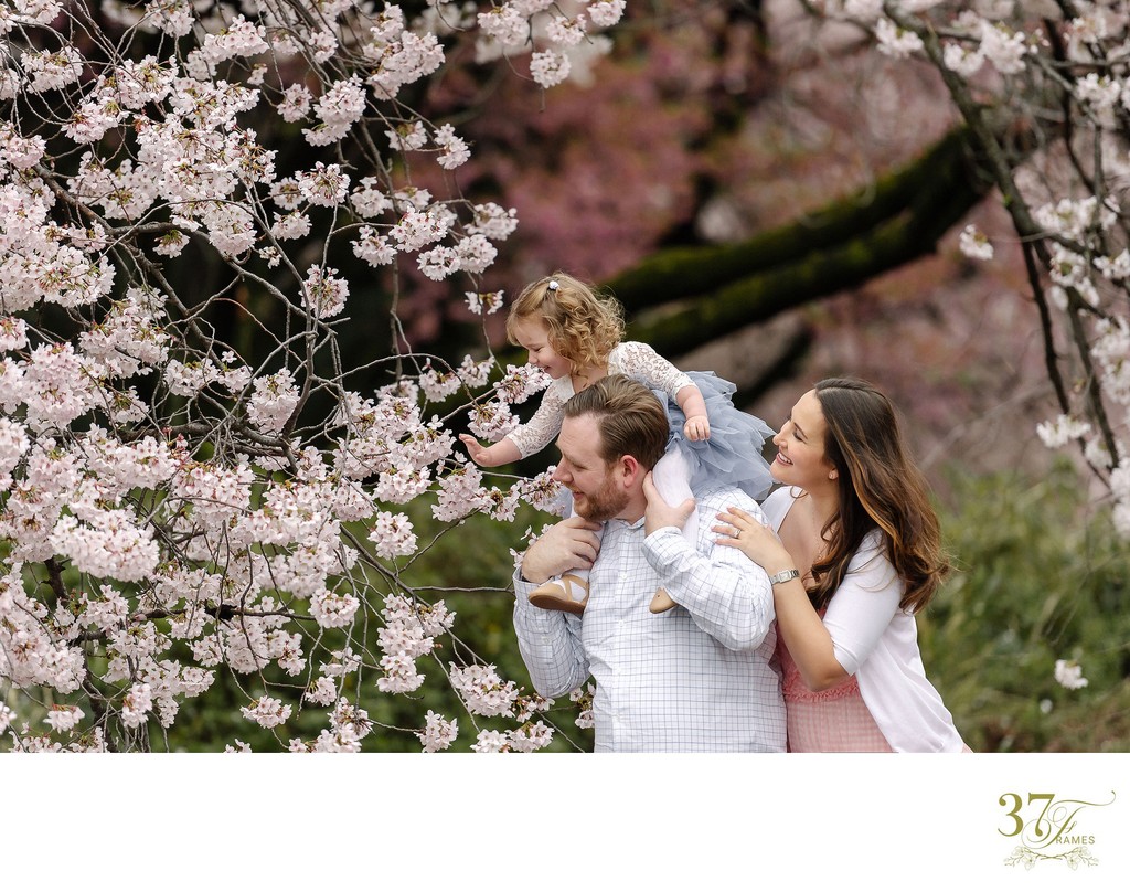 Moments of Joy: Portraits Amid Tokyo's Cherry Blossoms