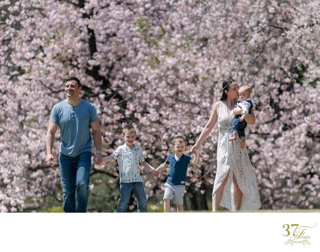Sakura Serenade: Family Portraits in Tokyo's Spring