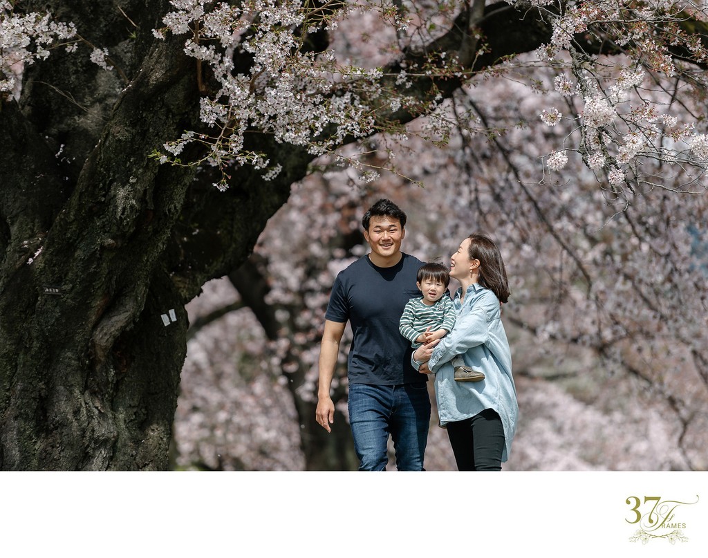 Tokyo's Cherry Blossoms and Family Portraits