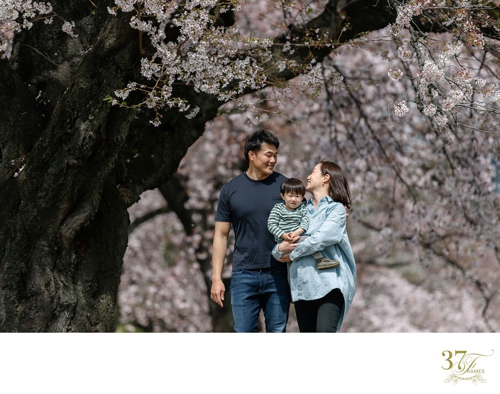 Shinjuku Blossoms: Family Portrait Photography Spring