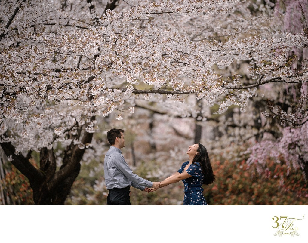 Elopement Dreams: Cherry Blossoms in Aomori