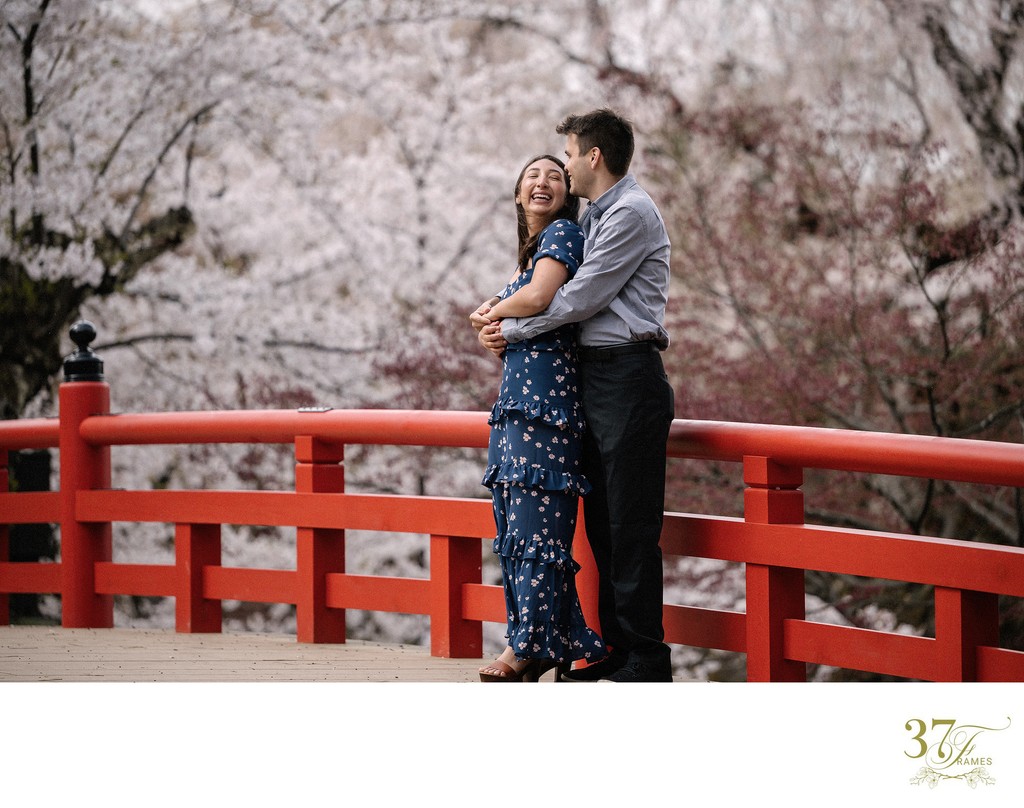 Intimate Sakura Elopements in Aomori