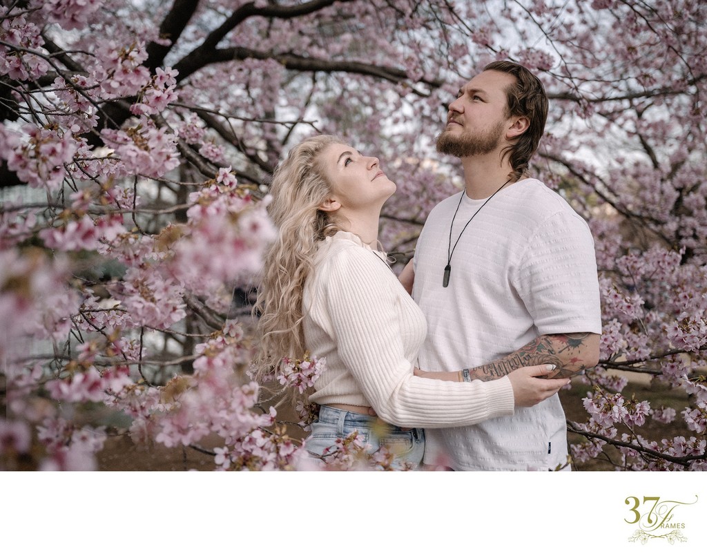 Cherry Blossoms: Tokyo Spots for Engagement Shoots