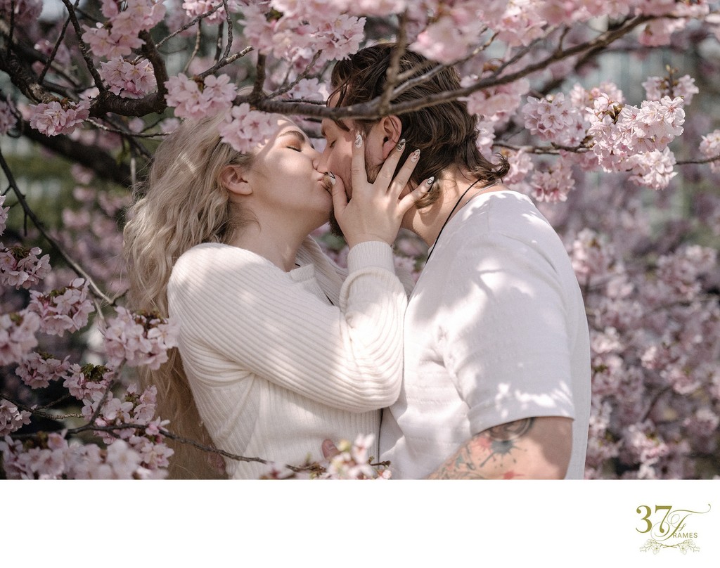 Tokyo: Capturing Your Romance Amidst Cherry Trees
