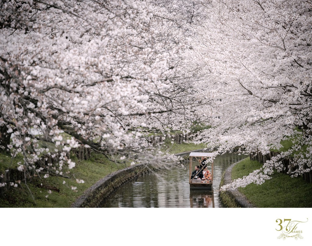Cherry Blossom Wedding Photography in Tokyo