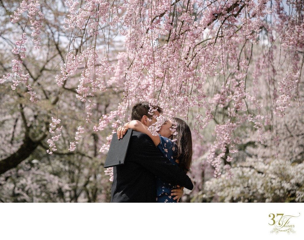 Aomori Cherry Blossom Proposal Photography