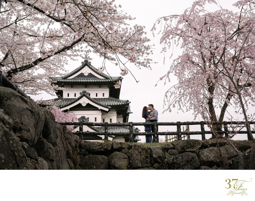 Cherry Blossom Wedding Photography in Aomori