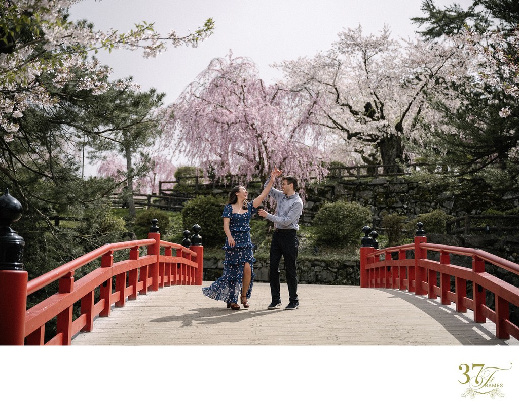 Kyoto Cherry Blossom Engagement Photography