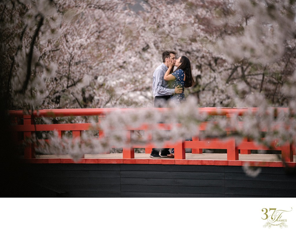 Kyoto Cherry Blossom Wedding Photography