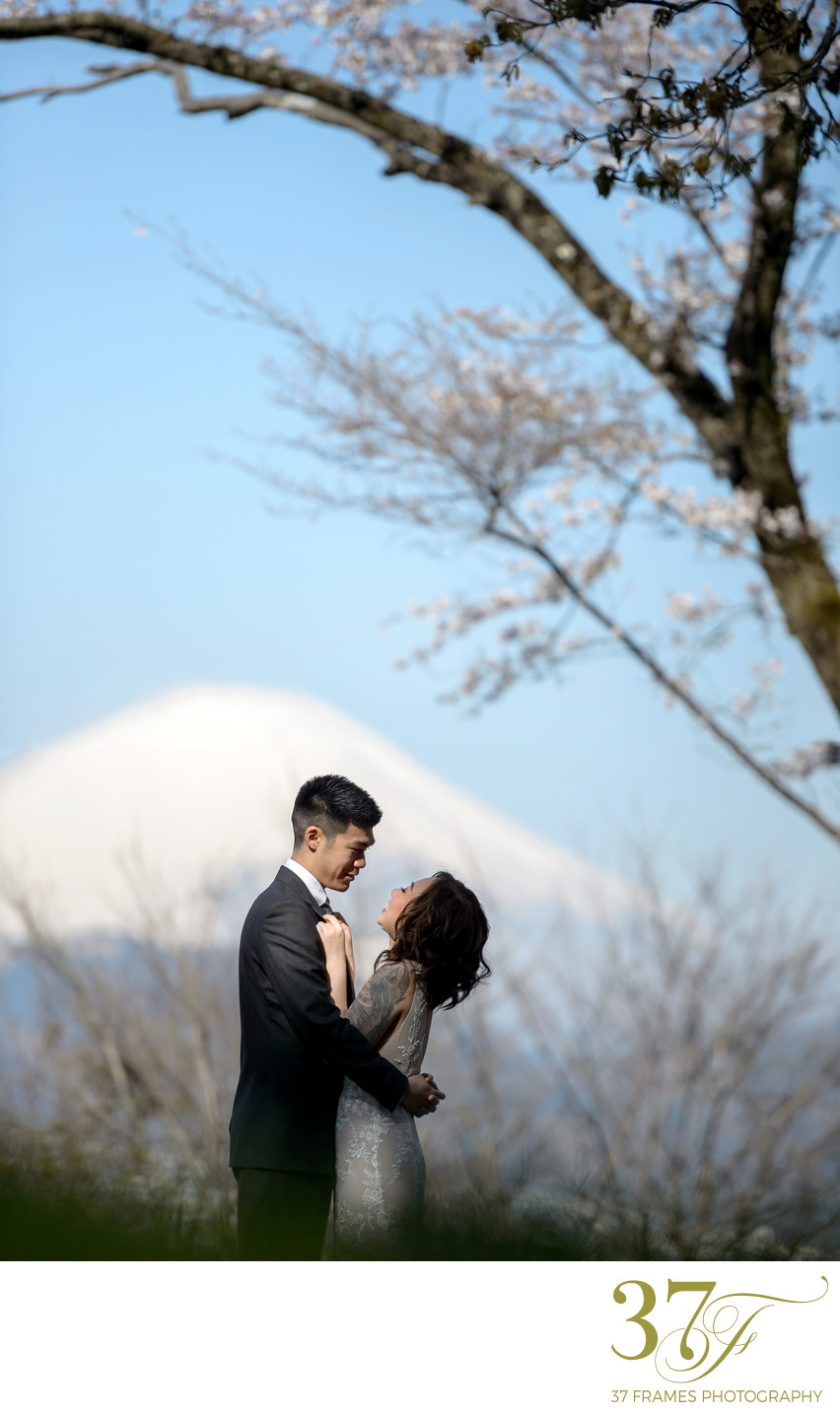 Destination Weddings in Japan Beyond Wildest Dreams
