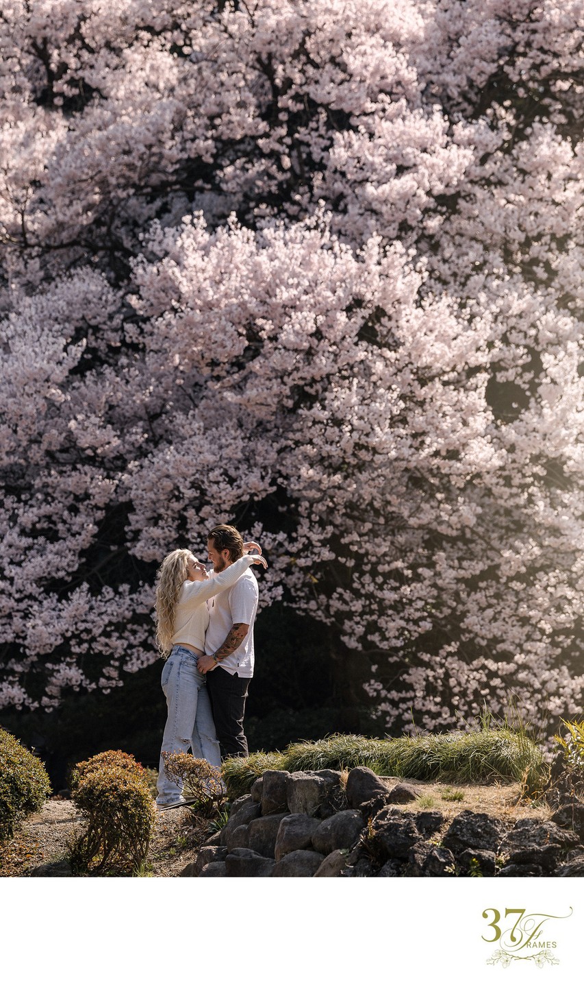 Unforgettable Cherry Blossom Engagement Photos in Tokyo