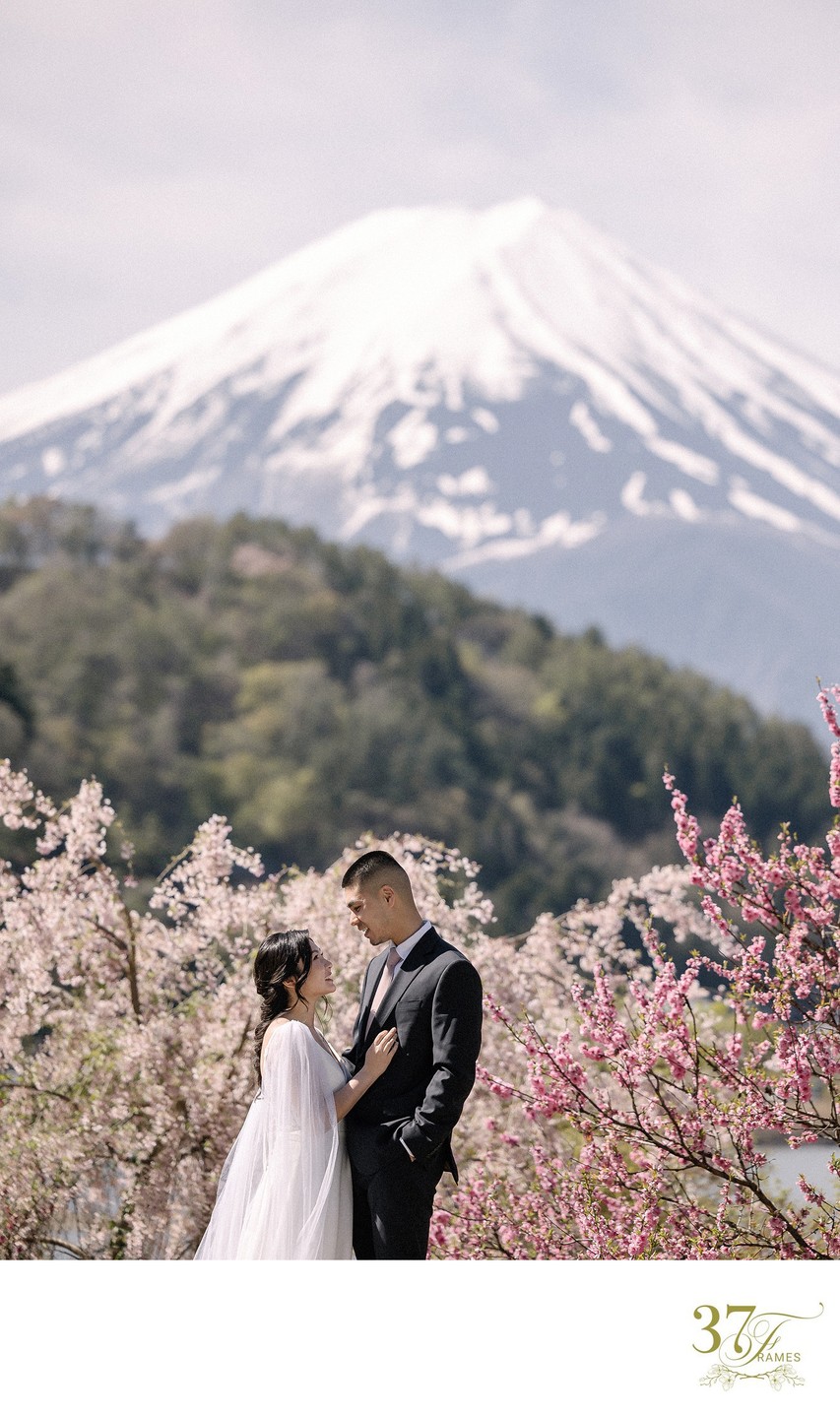 Mt. Fuji Cherry Blossom Engagement Photography
