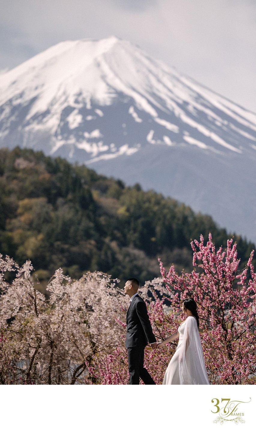 Cherry Blossom Wedding Photography in Kawaguchiko