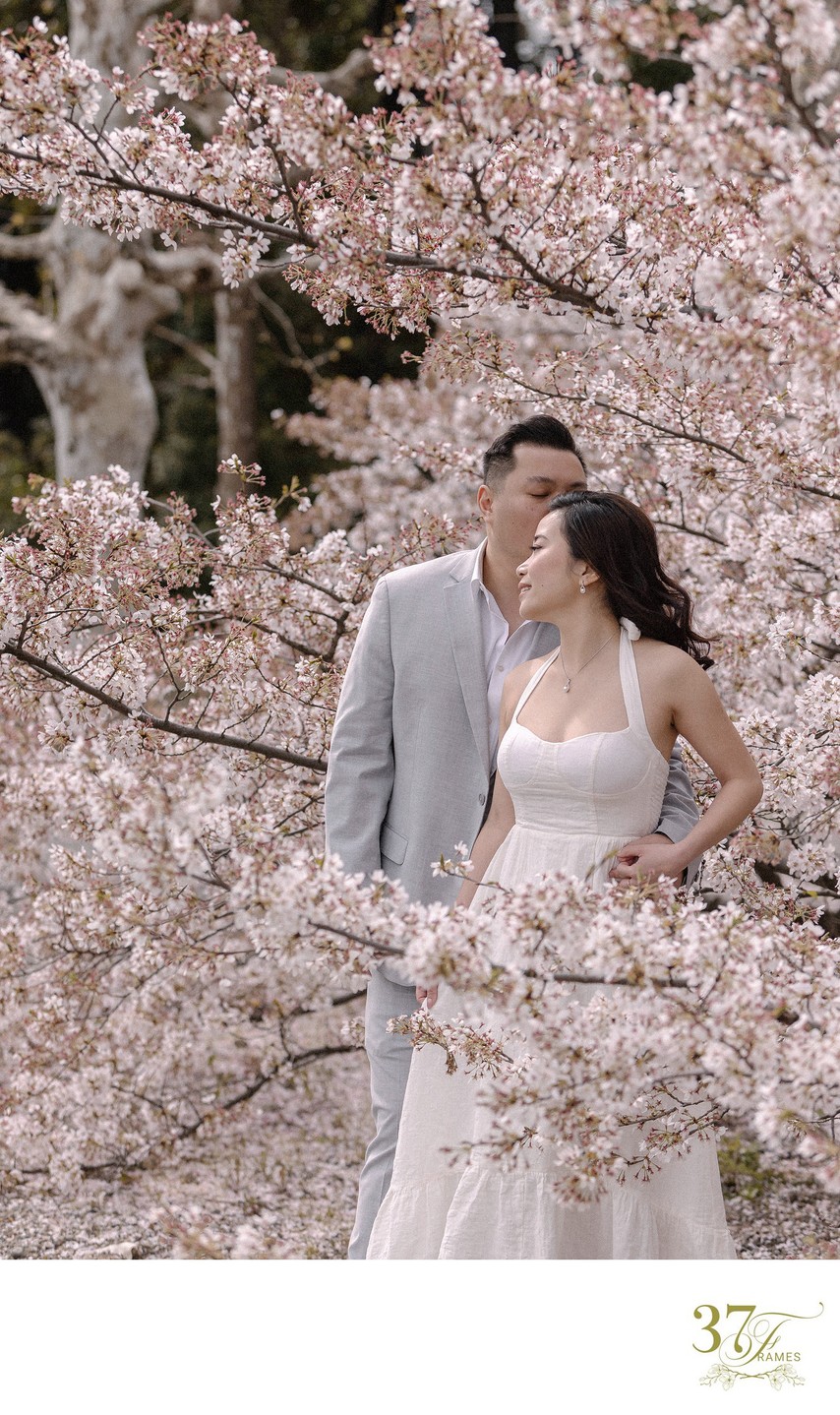 Japan's Cherry Blossom Wedding Photography