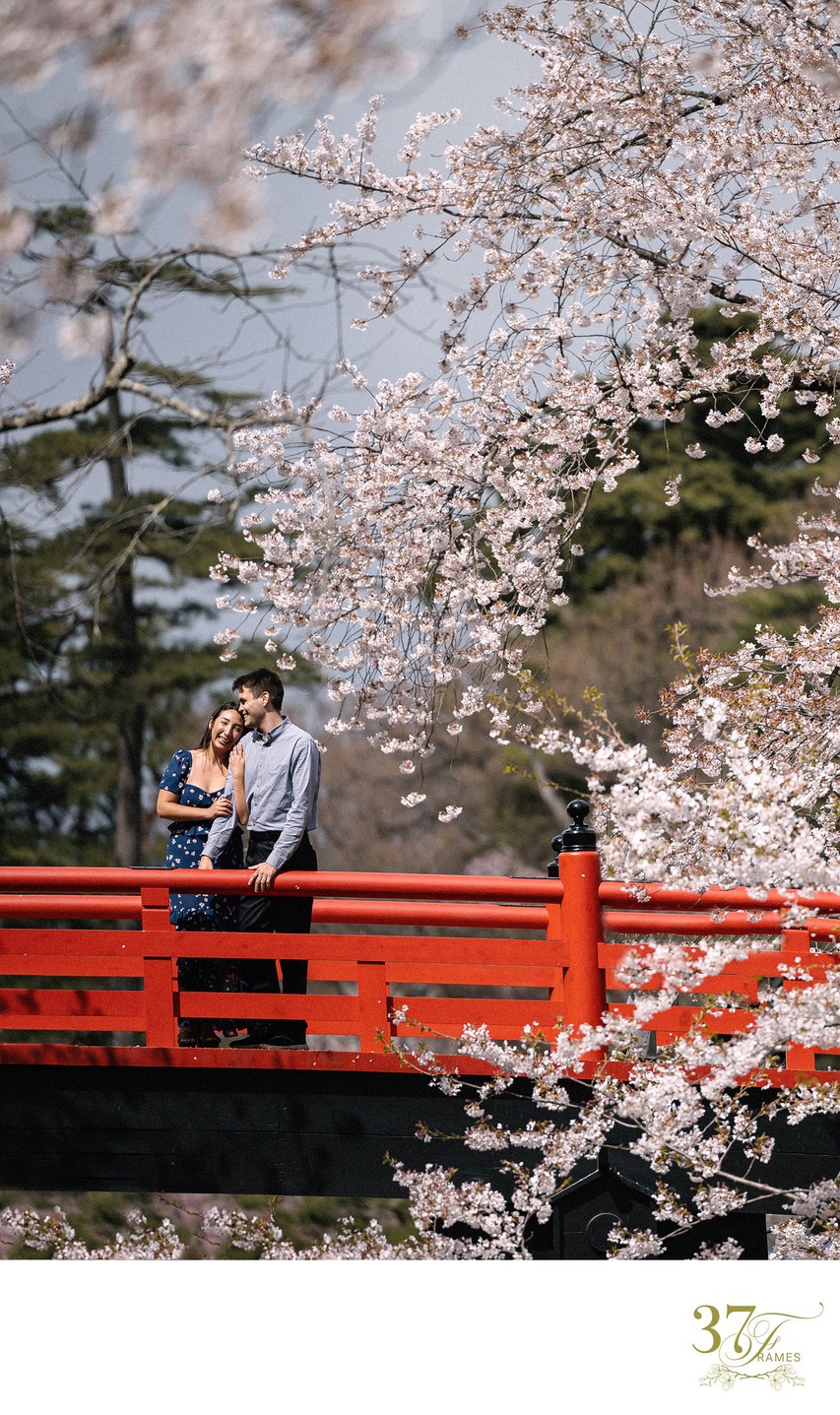 Aomori Cherry Blossom Engagement Photography and Videography