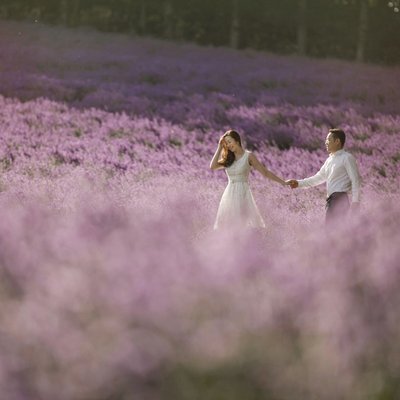Hokkaido Lavender Pre-Wedding