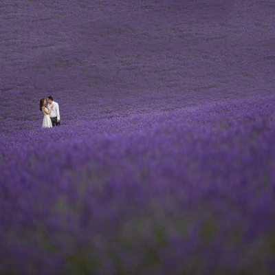 Hokkaido Lavender Elopement Photographer